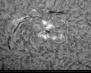 2021/22 entstanden mithilfe des Lunt-Teleskops eine Reihe beeindruckender Sonnenaufnahmen: Hier ein Detail der Sonnenoberfläche, fotografiert am 25. September 2021
