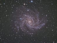 Die Spiralgalaxie NGC6946 im Kepheus Die Spiralgalaxie NGC6946 im Kepheus