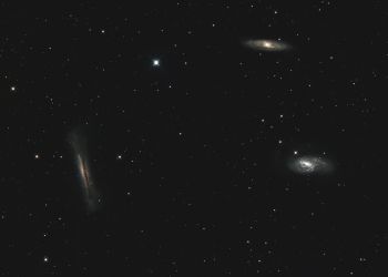 Leo Triplett