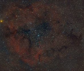 IC 1396: Der Elefantenrüsselnebel mit Umgebung