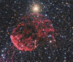 IC 443: Der Quallennebel