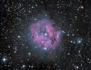 IC 5146: Der Kokonnebel im Detail