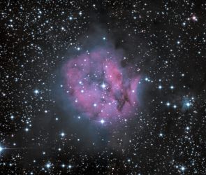 IC 5146: Der Kokonnebel im Detail
