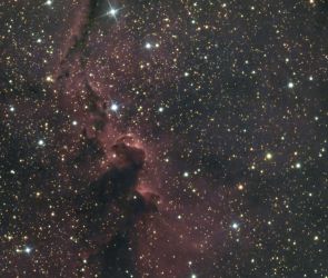 IC1396: Der Elefantenrüsselnebel im Detail