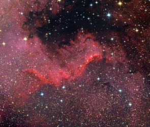 NGC 7000: Der Nordamerikanebel im Detail