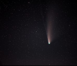 Komet NEOWISE (1)